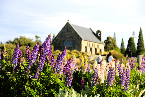 Christchurch: 2 dagar-1 natt Mt Cook &amp; Lake Tekapo stjärnskådning