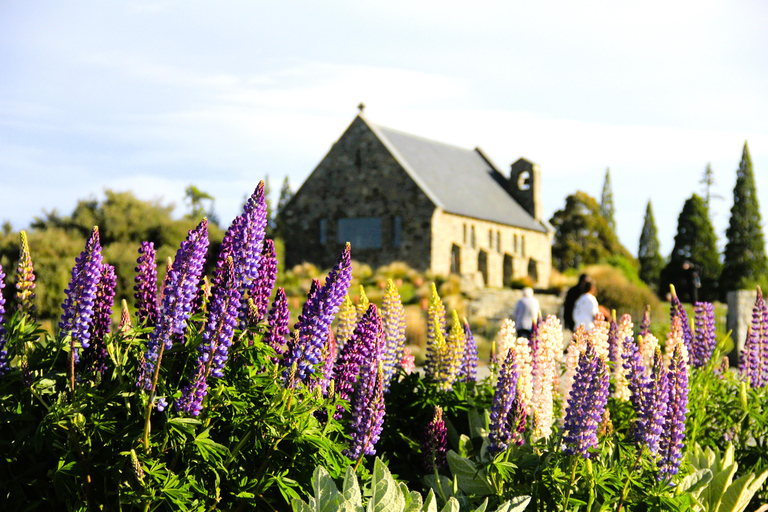 Christchurch: 2 Tage - 1 Nacht Mt Cook &amp; Lake Tekapo Sternenguckerei