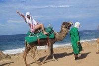 Cabo, Camel Ride On The Beach - Housity