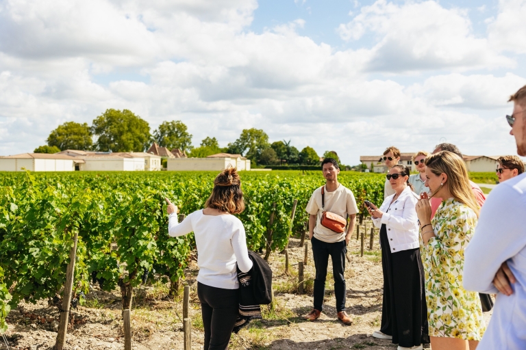 Ab Bordeaux: Saint-Émilion Halbtagestour mit Weinverkostung