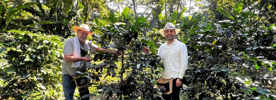 Salento : Visite partagée d'une plantation de café