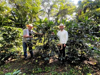 Salento coffee farm shared tour
