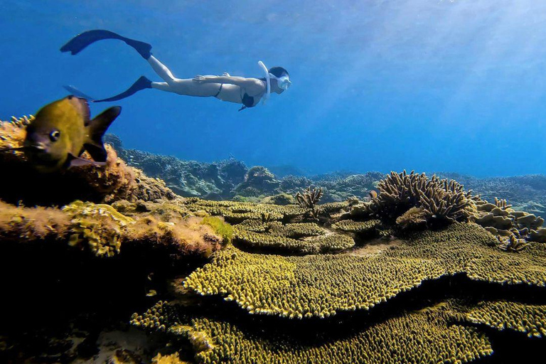 Ho Chi Minhstad: 2-daagse tour naar het eiland Phu Quy met maaltijden