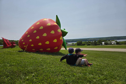 4-Hour Private Tour of Île d’Orleans. Discover local flavors. Licensed guide 4-hour private tour of Île d'Orléans. Discover local flavors. Certified guide