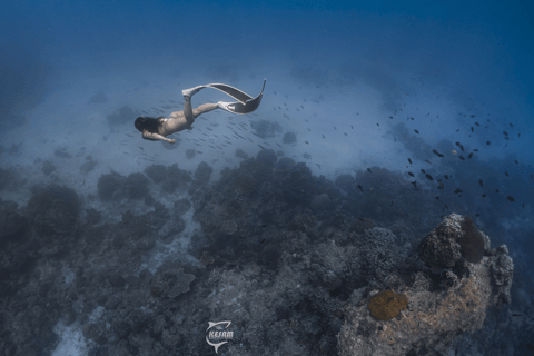 Odkryj freediving na Boracay