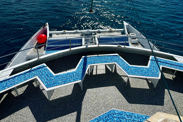 مغامرة الغوص مع سلحفاة وايكيكي