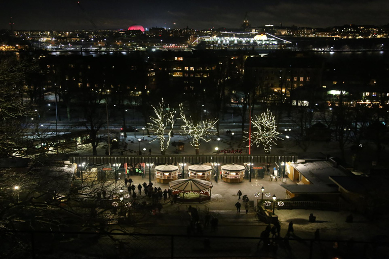 Visite du musée Vasa et du Skansen de Stockholm avec billet rapide2 heures : Visite du musée Vasa (sans transfert)