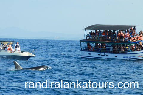 8 Day Active Sri Lanka Tour; Ella, Safari, Rafting & Beaches