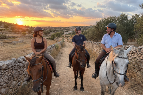 Malta: Sunset Horseback Ride Through Countryside Fields