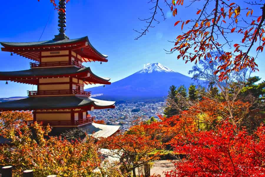 Tokio: Tour zum Fuji, Kawaguchiko-See, Pagode und Oishi-Park. Foto: GetYourGuide Tokio: Tour zum Fuji, Kawaguchiko-See, Pagode und Oishi-Park. Foto: GetYourGuide