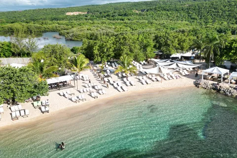 Falmouth: Bamboo Beach Break