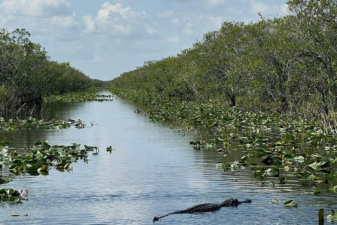 Everglades: Semi-Private or Private Airboat Tour Everglades: Private Airboat Tour 2hrs