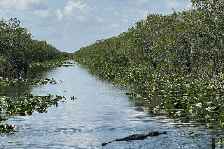 Everglades: Semi-Private or Private Airboat Tour Everglades: Private Airboat Tour 2hrs