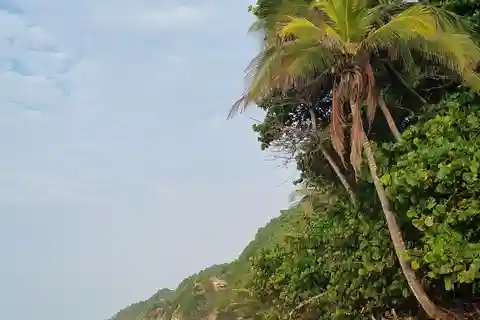 Palomino: Cascata escondida e excursão de um dia de ioga na praia