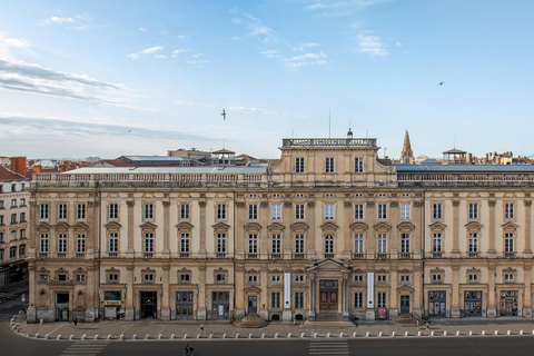 Lyon: Museum of Fine Arts Ticket & City Audio Guide