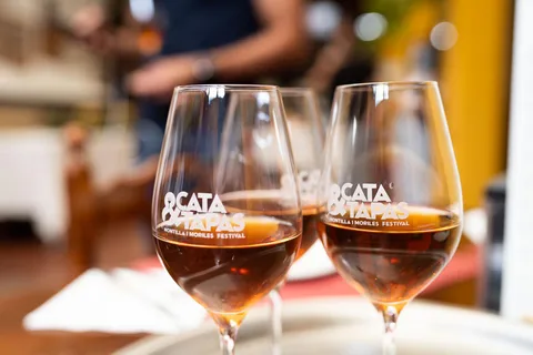 Cordoue : Visite guidée des bars à tapas avec un guide local