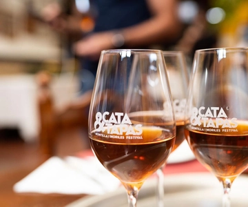 Cordoba: Tapas Bars Tour With Local Guide