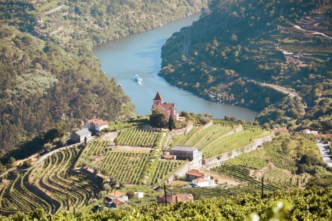 Ab Porto: Douro-Tal mit Weinprobe, Bootsfahrt und LunchGruppentour auf Französisch ohne Abholung