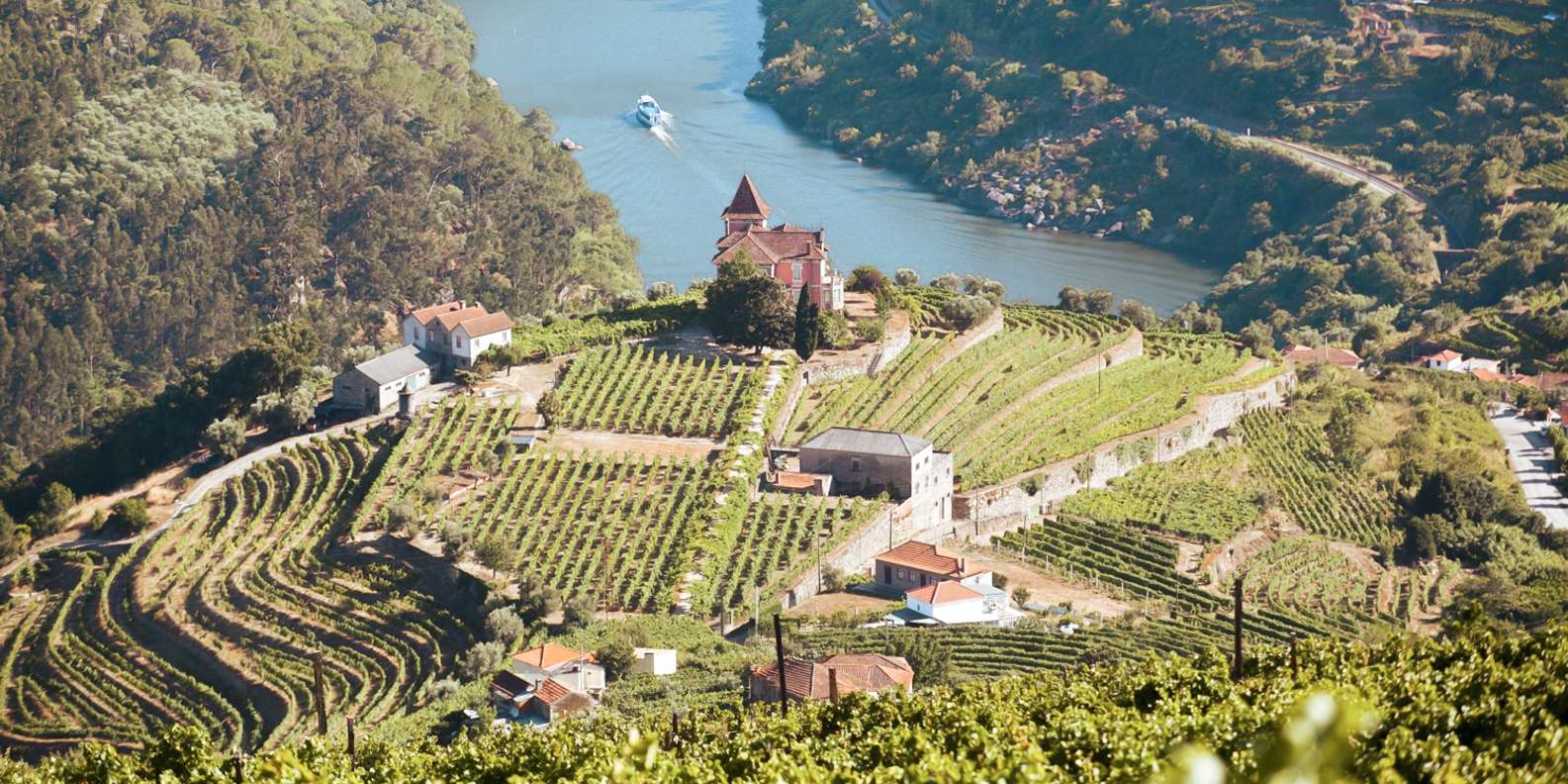 Porto: Douro Valley Tour with Wine Tasting, Cruise and Lunch
