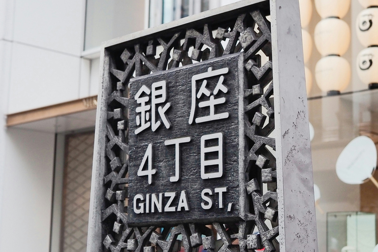 Tokyo Full Day Private Sightseeing Tour with English Driver