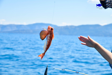 Lefkimmi: Small-Group Fishing Trip with Freshly Cooked Meal