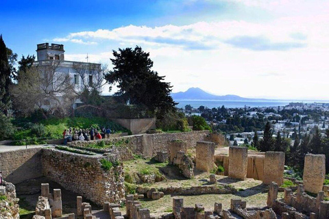 Dagsutflykt Tunis Kartago Bardo från Hammamet