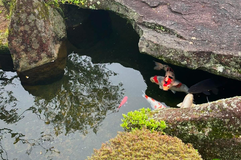 Guided Wakayama Heritage & Forest Trails with Hotel Pickup