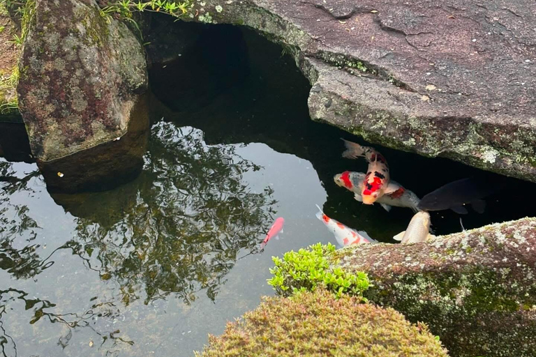 Guided Wakayama Heritage & Forest Trails with Hotel Pickup