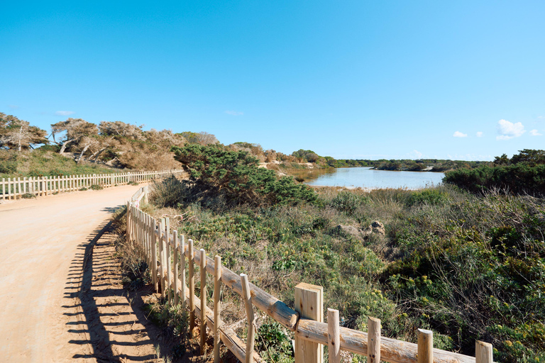 Ibiza: Formentera Boat and Bike Guide Tour +Sunset Party Gold Edition: Formentera Bike & Boat Adventure from Ibiza