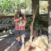 Koala Cuddle and Historic Hahndorf Tour
