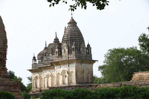 From Delhi: 4-Day Khajuraho Temples & Panna Tiger Safari