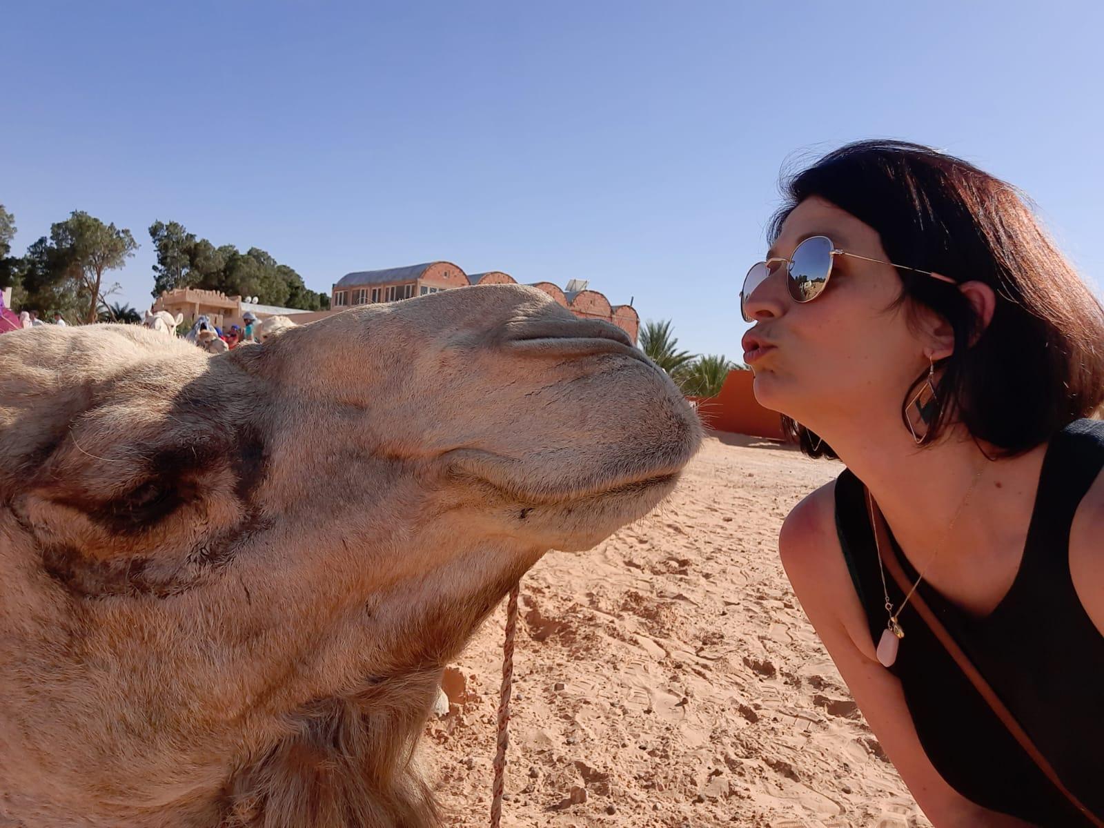 Djerba & Zarzis: Übernachtung unterm Sternenhimmel und Sonnenaufgang in der Wüste ✨