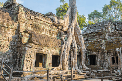 Private Sunrise Angkor Wat TourPrivate Sunrise Angkor Wat Tour with French Tour Guide