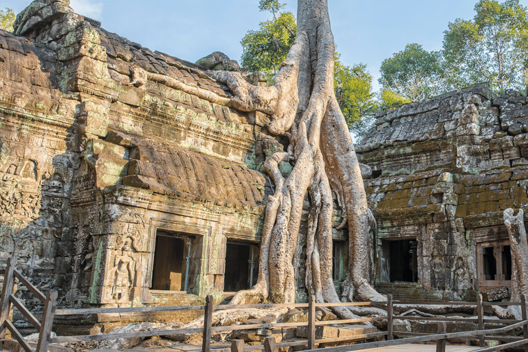 Privat soluppgång Angkor Wat-turPrivat soluppgång Angkor Wat-tur med tysk reseledare