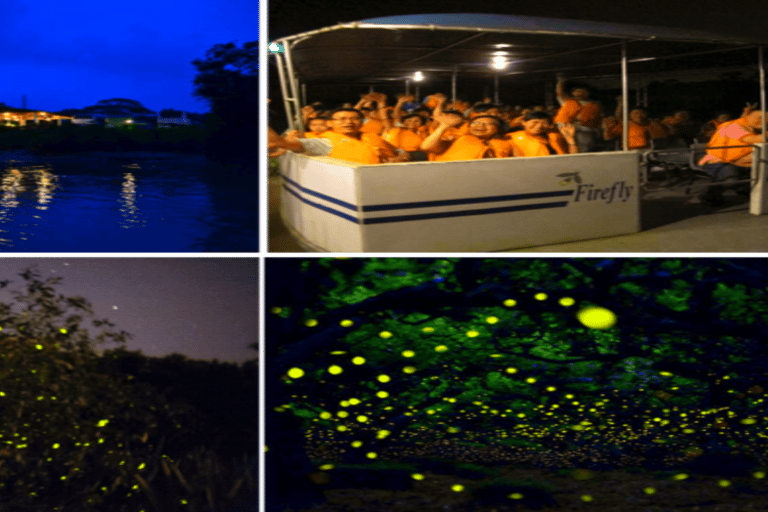 Kota Kinabalu: 1-Day Mengalum Isle & Mengkabong River Cruise Mengalum Island Only