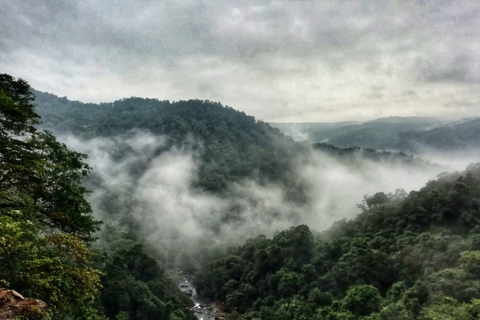 Tour di un giorno della cascata di Dudhsagar e della piantagione di spezie SIC