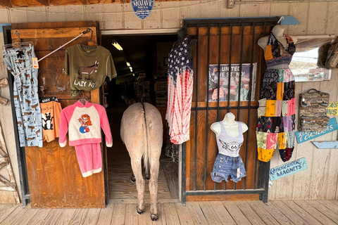 Route 66 Day Tour from Las Vegas: Oatman, Nelson & Kingman