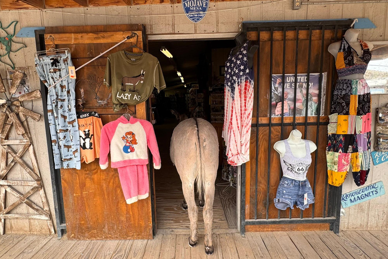 Route 66 Day Tour from Las Vegas: Oatman, Nelson & Kingman
