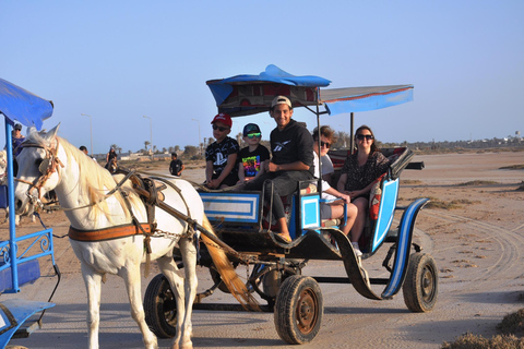 Djerba: Kutschfahrt zum Krokodilpark.