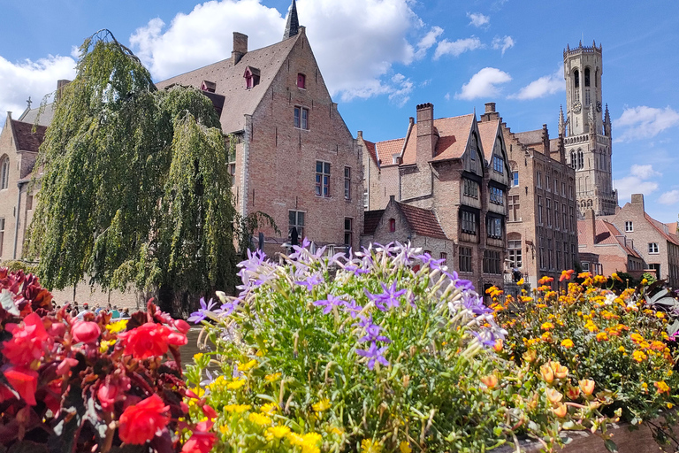 Le meilleur chocolat de Bruges !Dégustez le meilleur chocolat de Bruges !