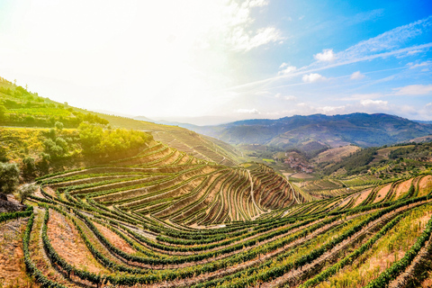 Ab Porto: Douro-Tal mit Bootstour, Weinverkostung und EssenTour auf Französisch mit Hotelabholung