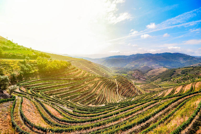 From Porto: Douro Valley w/ Boat Tour, Wine Tasting & Lunch Tour in French with Hotel Pickup