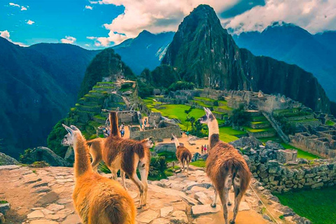 Excursion Machu Picchu,Mountain 7 Colors and Humantay Lagoon