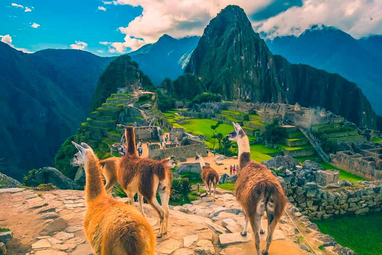 Excursion Machu Picchu,Mountain 7 Colors and Humantay Lagoon