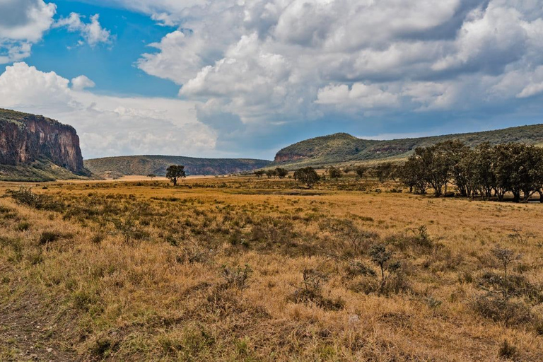 Encontros selvagens: Aventura no Parque Nacional Hell&#039;s Gate