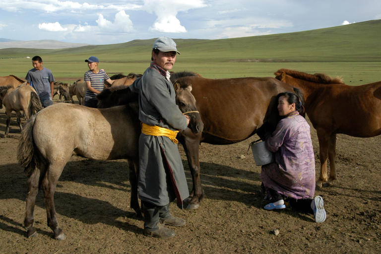 Ulaanbaatar: Genghis Khan Statue & Terelj Park 2-Day Tour