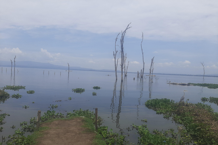 Naivasha: Lago Naivasha e Parco Nazionale Hell's GateTour del lago Naivasha e dell'Hells Gate