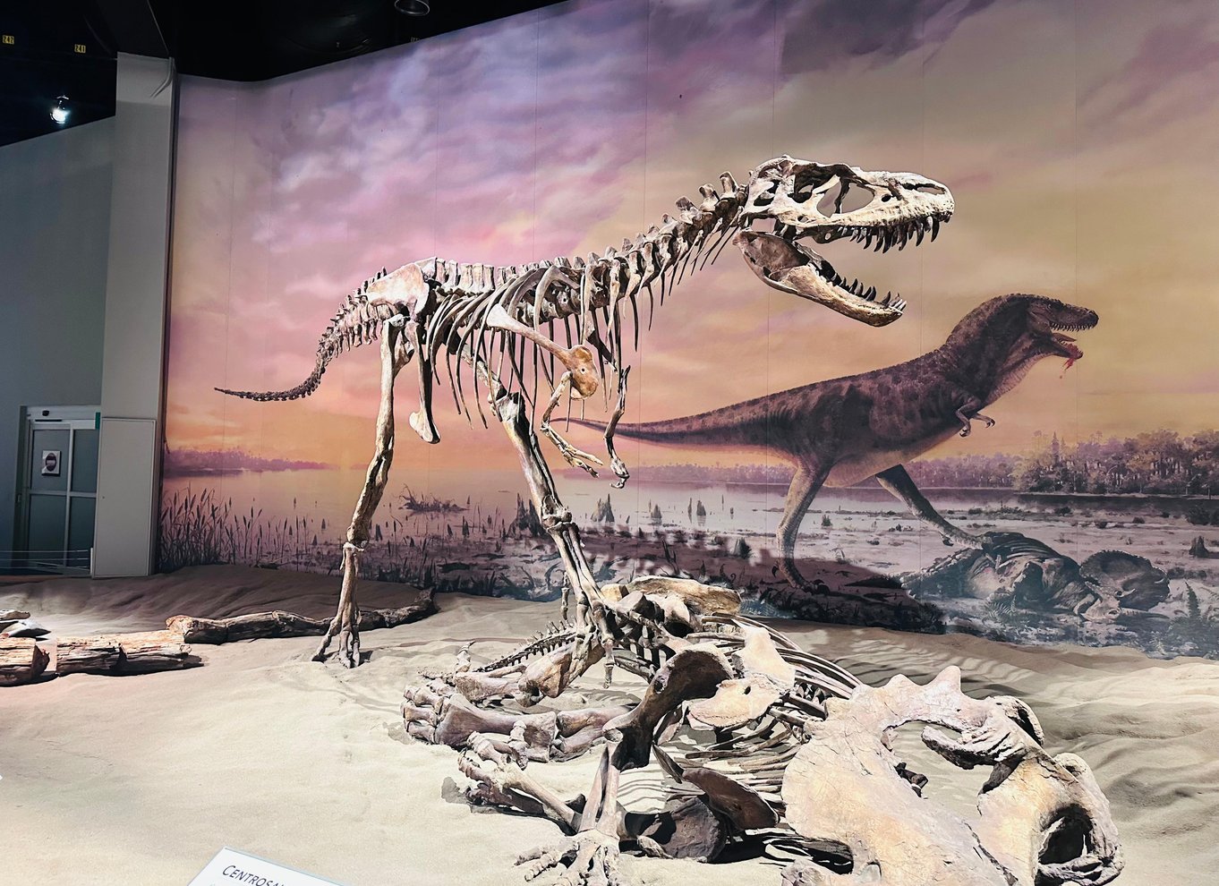 Badlands-tur: Drumheller med museum, hoodoos og dinosaurer