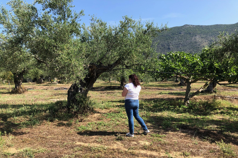 Rundtur och provsmakning av olivolja i Kalamata, Messinia, GreklandOlivoljevisning och provsmakning i Kalamata, Messinia Grekland