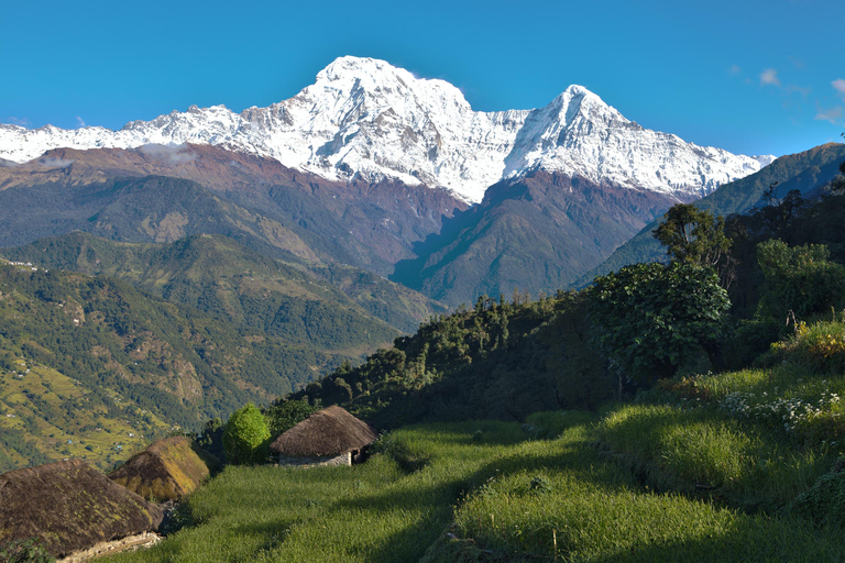 Desde Katmandú : Senderismo guiado de 6 días por el Mardi HimalKatmandú : 6 días de trekking Mardi por carretera